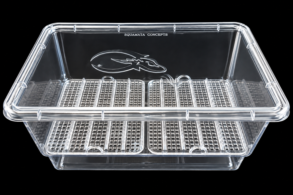 SIM XL clear egg hatching container with raised grids and adjustable rails against a black background.