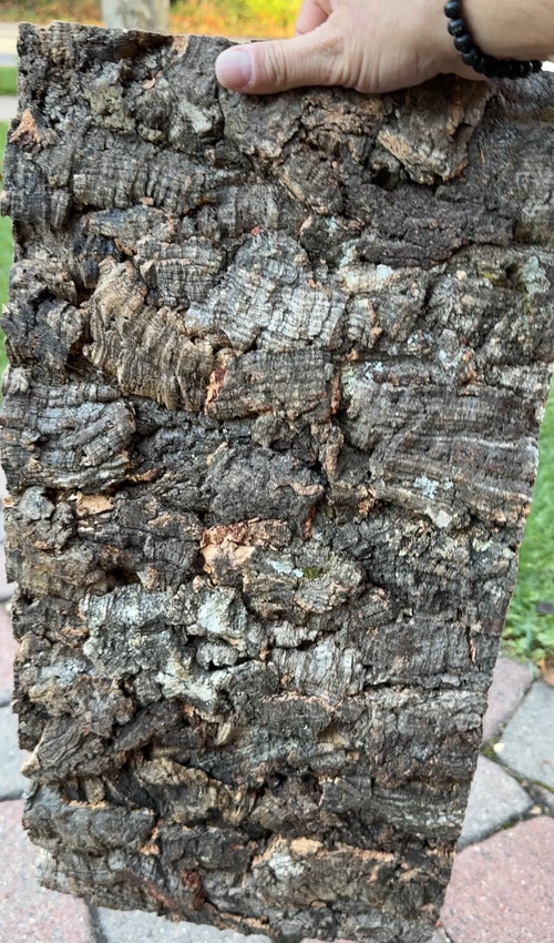 Cork Bark Background Panels – Case of 10